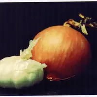 槍王