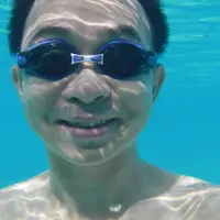 littlefung