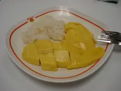 Janet_Fai