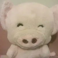 傻瓜瓜瓜