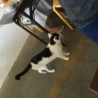 大食太郎