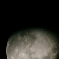 likamanus