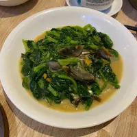 白花油