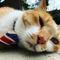 LYKWOK