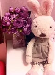 kikobabe