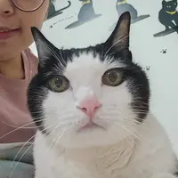 chuchuwong