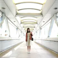 wing_ng4