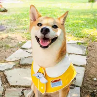 紫翎