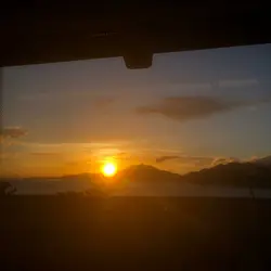阿茂茂
