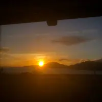 阿茂茂