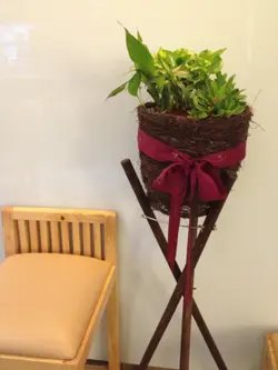 托爾頓