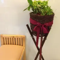 托尔顿
