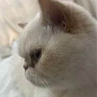 winkiwingki