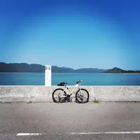 kayu_i