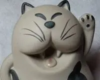 icatcat