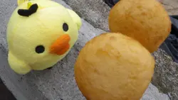 肥雞旁的流星