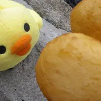 肥雞旁的流星