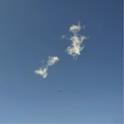 Ts_Z