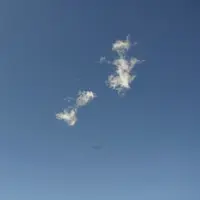 Ts_Z