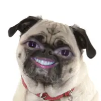 LLGM