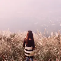 Oli tam