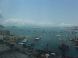 小呆_tung
