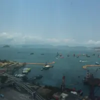 小呆_tung