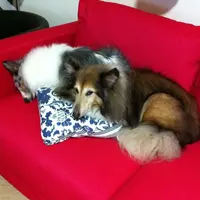 Silky & June