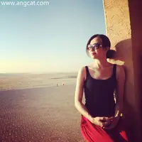 angcat.com