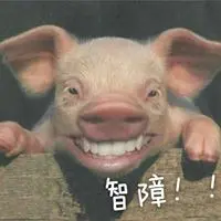 豬老豆
