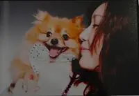 foreverpet