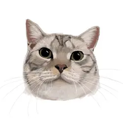 藍貓貓