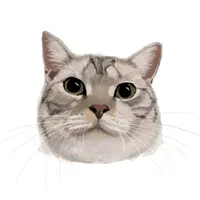 藍貓貓