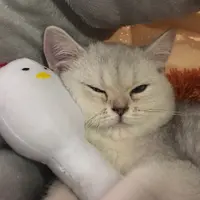mchleung
