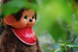 MonchhichiE