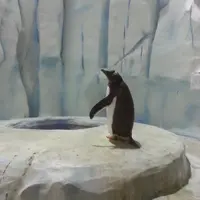 請勿打擾