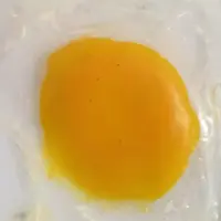 为食狮
