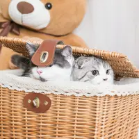 li_mich