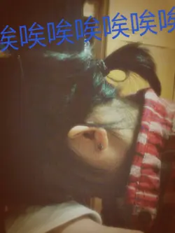 Yinyin96