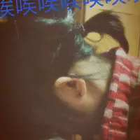 Yinyin96