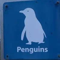jsplamm