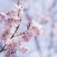 karen_c1234
