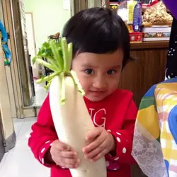 食神上身