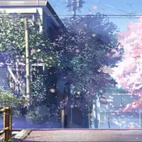clematis0416