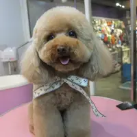 Vitaminbobo