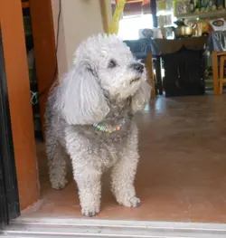 我對食，有一份執著