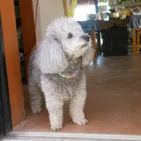 我對食，有一份執著