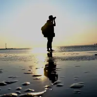 Cyrusfong512512