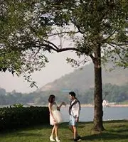 ceciheung