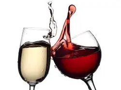 MrTasting